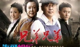 兄弟兄弟电视剧全集在线观看,重温家族恩怨情仇的感人篇章