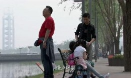 爸的爱情生活在线观看,穿越时光的浪漫之旅