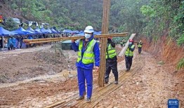 广州护林路爆料事件视频,视频揭露惊人真相