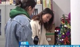 肥西女婿爆料事件真相视频,揭秘背后真相与争议