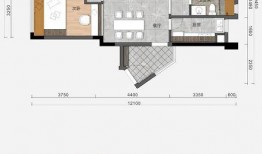 pubgm爆料最新金装,全新元素与玩法大揭秘！