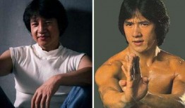 成龙替身爆料视频大全,揭秘爆红视频背后的真实故事