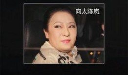 明星爆料张嘉益事件视频,明星爆料背后的真相揭秘