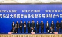 重庆政府最新爆料事件,揭开神秘事件背后真相