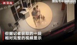 大瓜爆料电梯事件视频,大瓜爆料事件视频揭秘