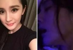杨之楹被爆料家暴照片视频,真相与争议交织