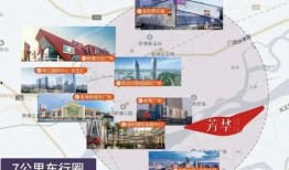 向靖爆料视频大全集,揭秘娱乐圈幕后真相