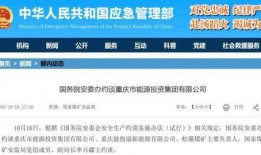 重庆政府最新爆料事件,揭开神秘事件背后真相
