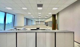 紫色珍宝爆料视频大全集,揭秘幕后真相与精彩瞬间