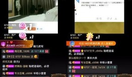 热搜爆料打架视频播放大全,惊心动魄的瞬间回顾