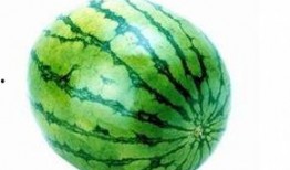 西瓜娱乐吃瓜君,吃瓜君带你揭秘西瓜娱乐幕后故事