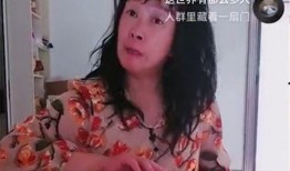 杨之楹被爆料家暴照片视频,真相与争议交织